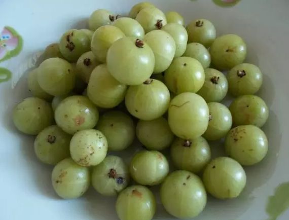 农村此野果先苦后甜的一种果子曾经是小孩子的零食甘甜可口