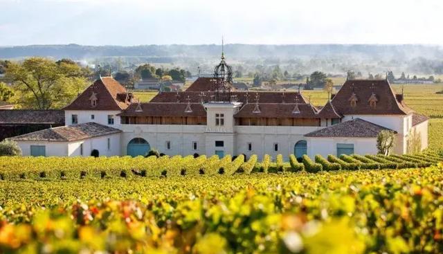 右一为金钟酒庄老庄主,梦陇品牌酿酒总顾问配图来源网络,如有侵权联系