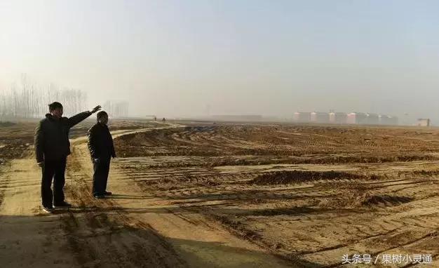 好消息!无地农民将获国家社保补偿