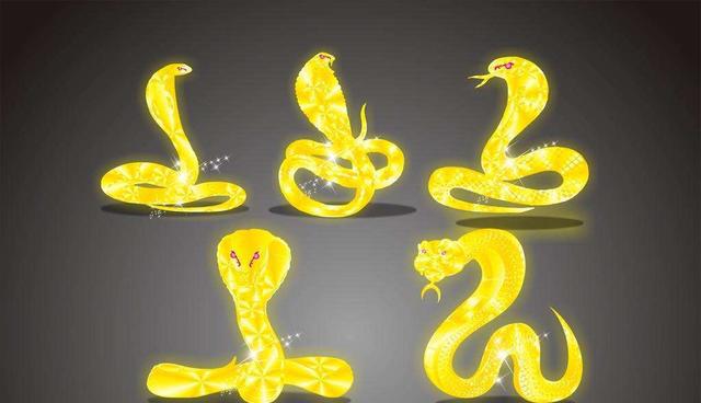 高兴!属蛇的今年多少岁了?"包生男孩"-第1张图片-漳浦博客