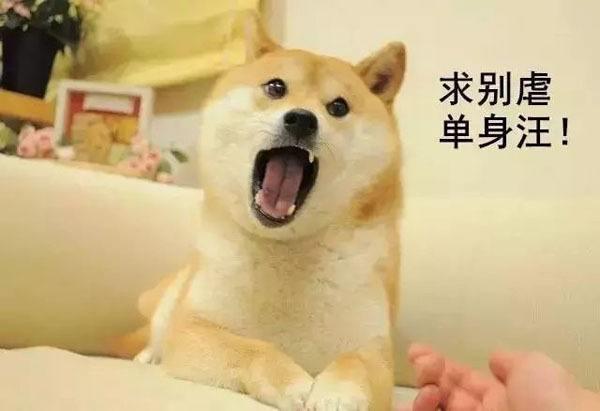 中国单身狗已超200000000人.网友们大喊: 吾道不孤也!