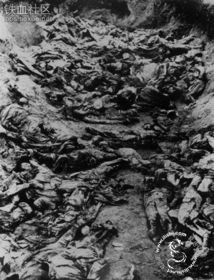 老照片二战中苏军残暴的卡廷大屠杀