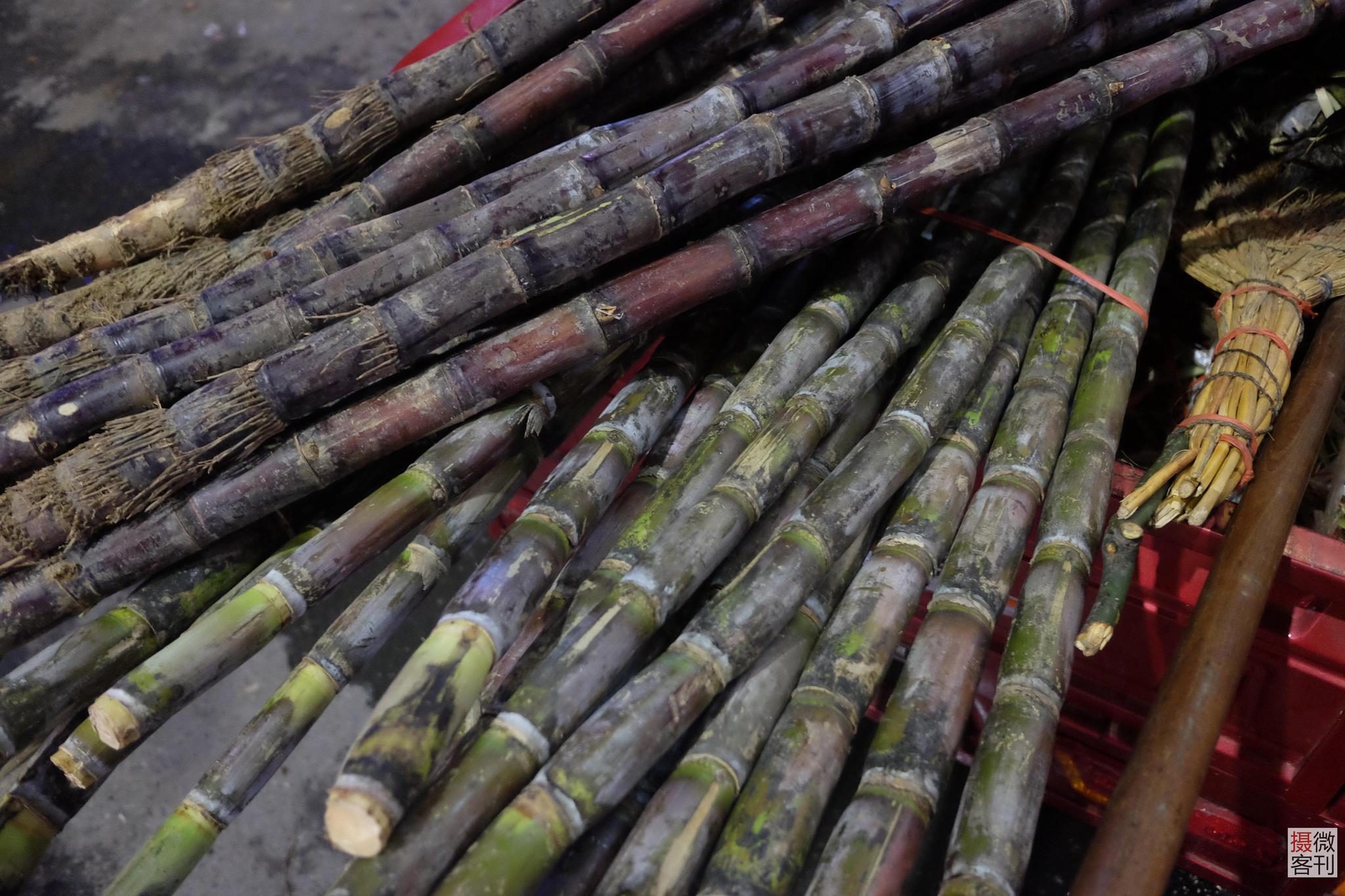 大姐每天路边摆摊12小时 一袋甘蔗挣2元等着抱孙子