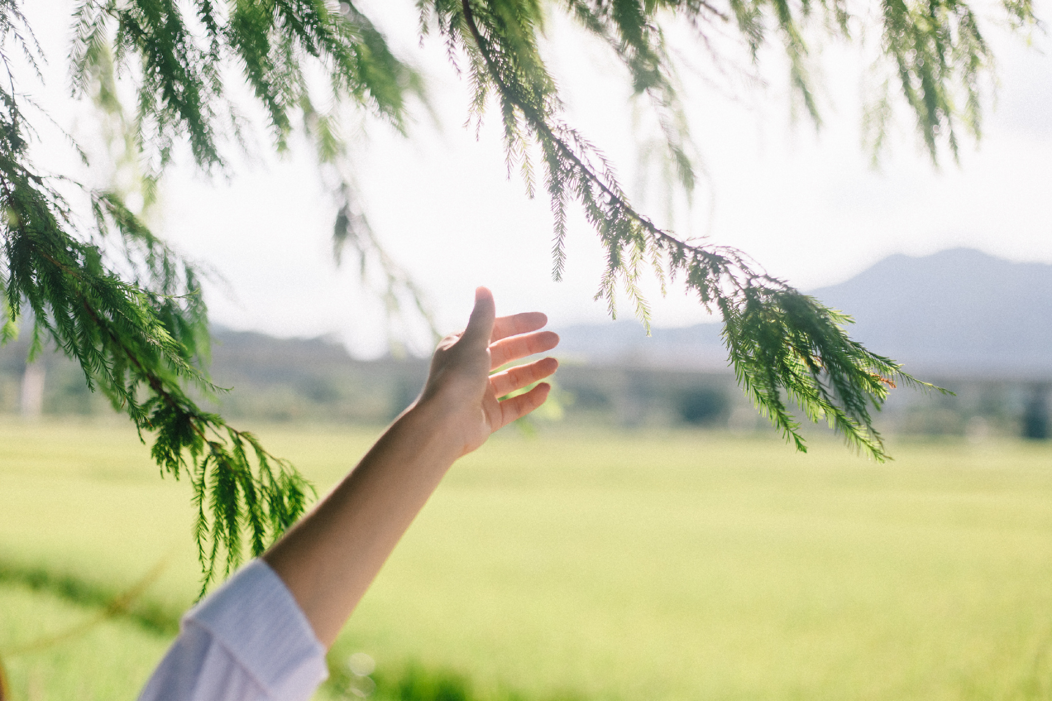 "就做一阵风,有温柔也有英勇.
