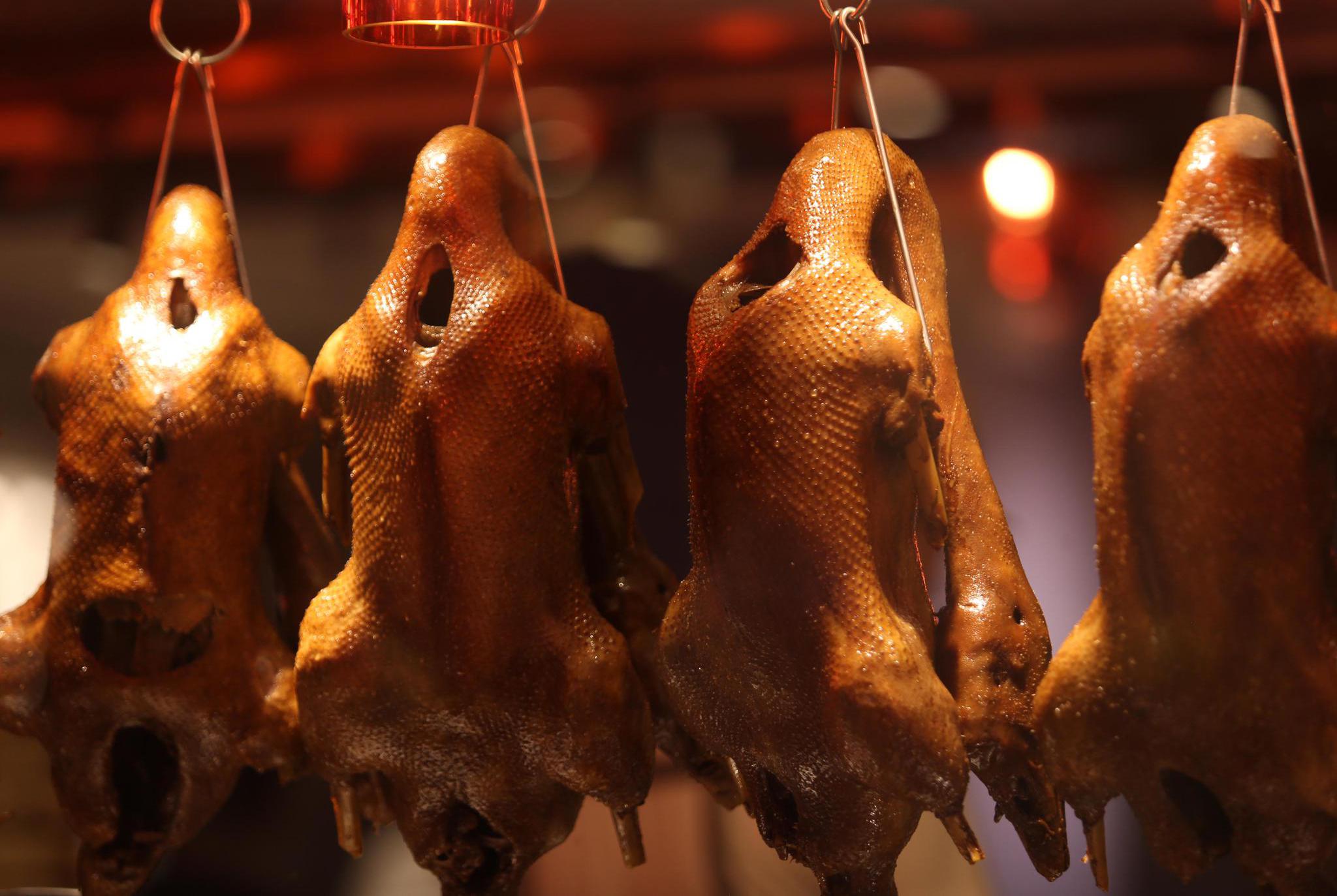 三千功品牌入驻郑州,狮头鹅来了!