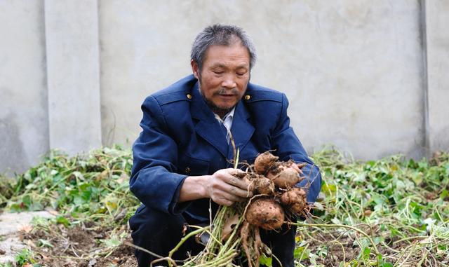 自从乞丐来了家里,陈大柱就再也没做过什么家务事,这些啊,乞丐全都包