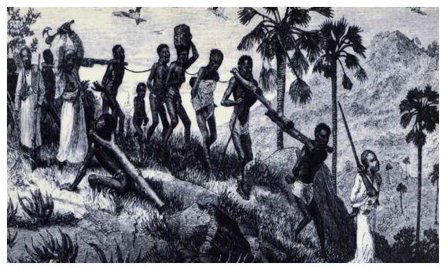 黑奴的悲惨命运:被卖前要接受3项特殊处理,只为多卖钱