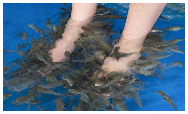 父亲几年不洗脚,女儿带父亲去做鱼疗,鱼出来后女儿想哭