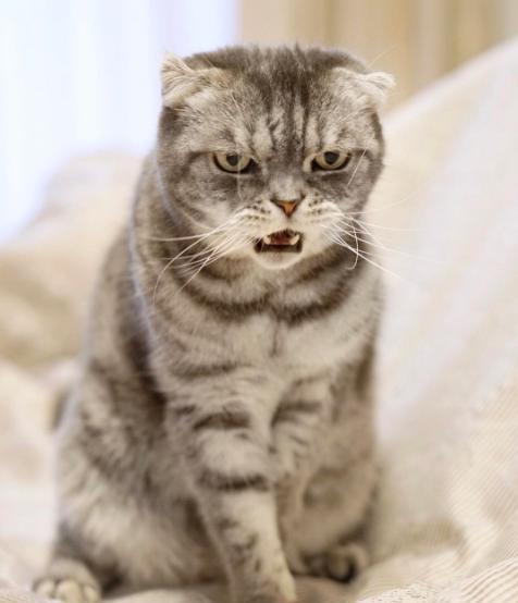 小时候辣么萌长大辣么凶满满表情包时间对你做了什么