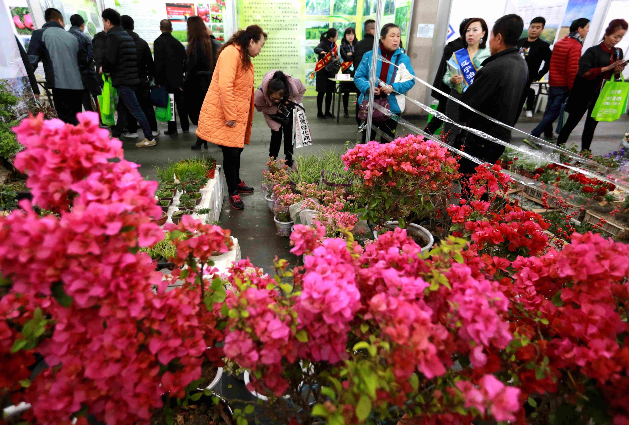 东北园林,园艺花卉产业展览会开幕