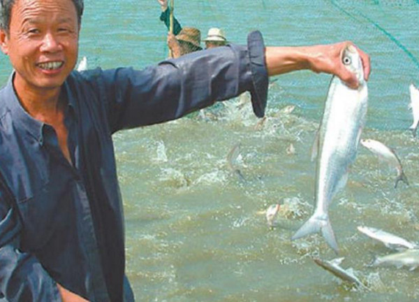 农村河里有种鱼会"发光",出水十分钟就死,名字霸气,像一个人