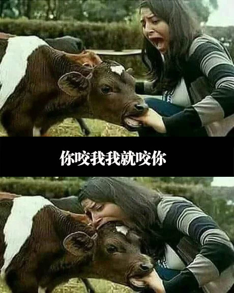 搞笑精彩的搞笑图片每日一笑第十二期