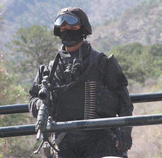 为墨西哥做出了巨大的贡献,随后墨西哥让gafe特种部队去打击墨西哥