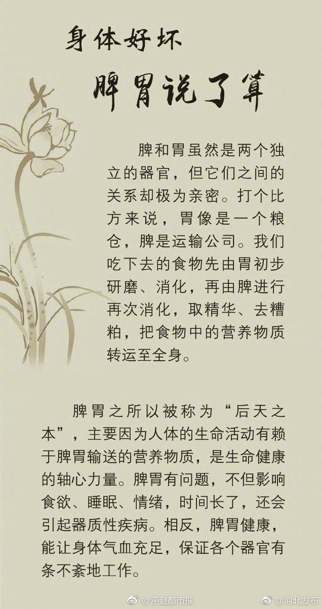 中医脾胃调理