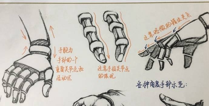 速写手部结构详解,送给学速写的童鞋们! |速写|手部|童鞋_新浪新闻