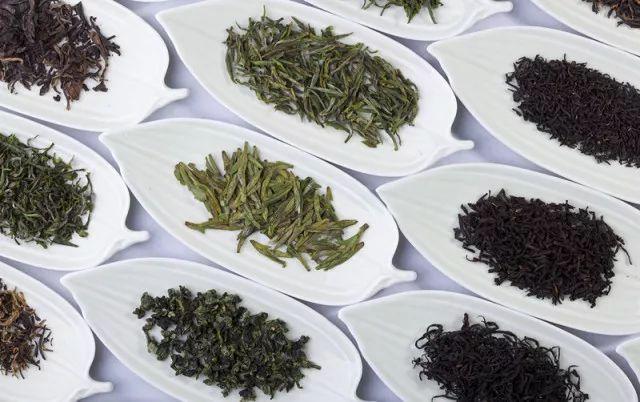 图片[1]-新茶叶好还是陈茶好？-博云求真