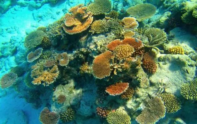 我国最珍贵的岛,曾被日本人强行霸占,如今只接待中国游客!