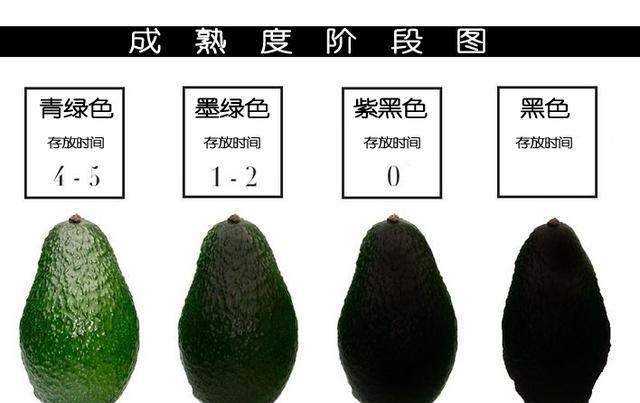 3招分辨牛油果成熟程度
