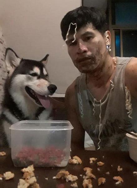 二哈抢外卖吃,弄了主人一身饭还帮主人舔干净,狗:不能浪费