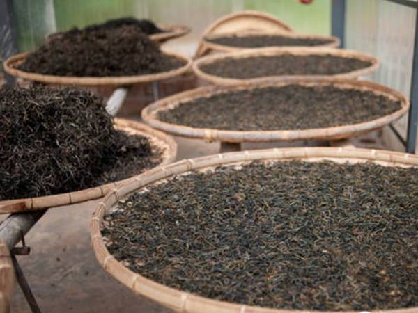 警惕:茶叶市场要变天了