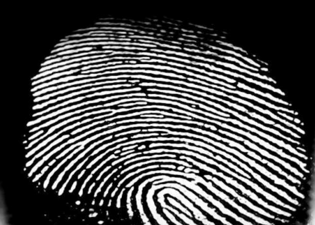 农村流传着有关指纹的俗语指纹上的簸箕和螺旋数量有什么含义