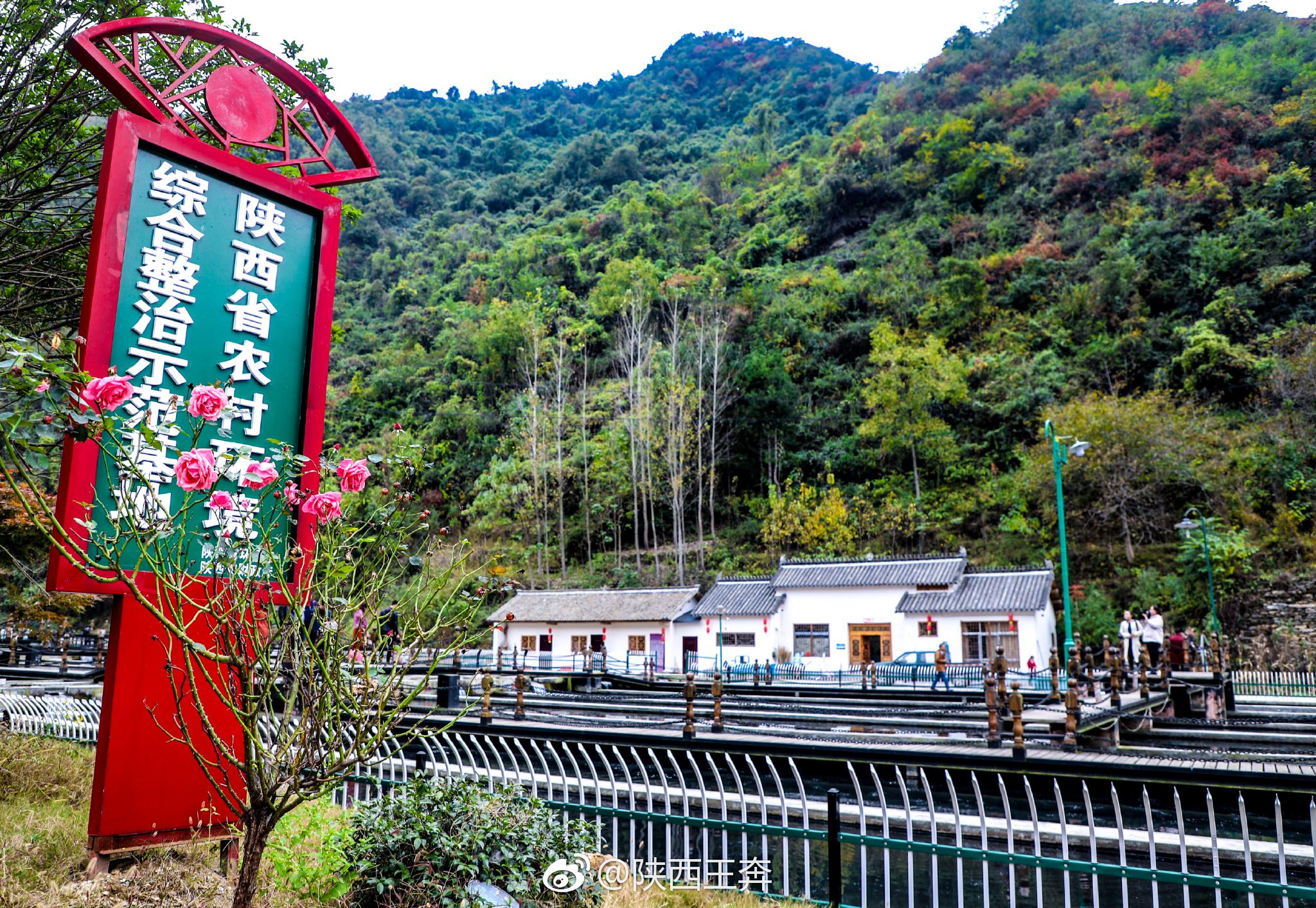 在商南县金丝峡镇