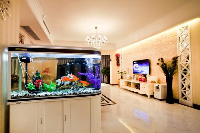 利用水族箱做隔断,这样入户门就不会直冲客厅了,风水上比较好.
