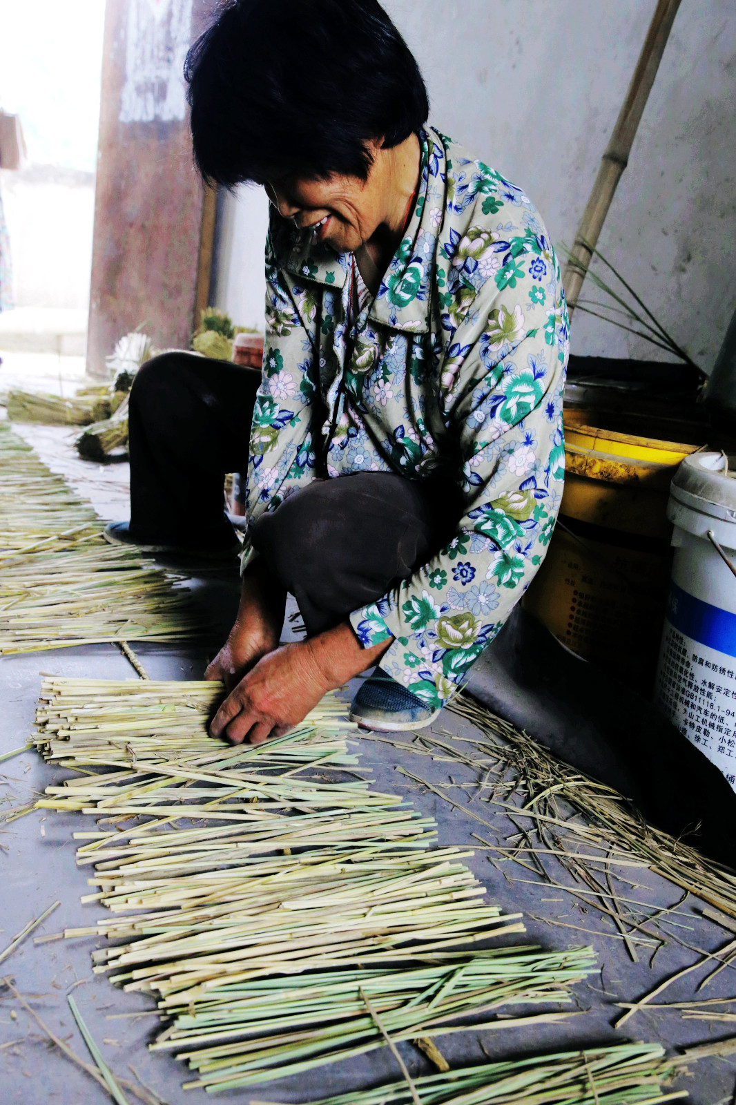蚕宝宝要上山忙坏了打草龙的华老蚕