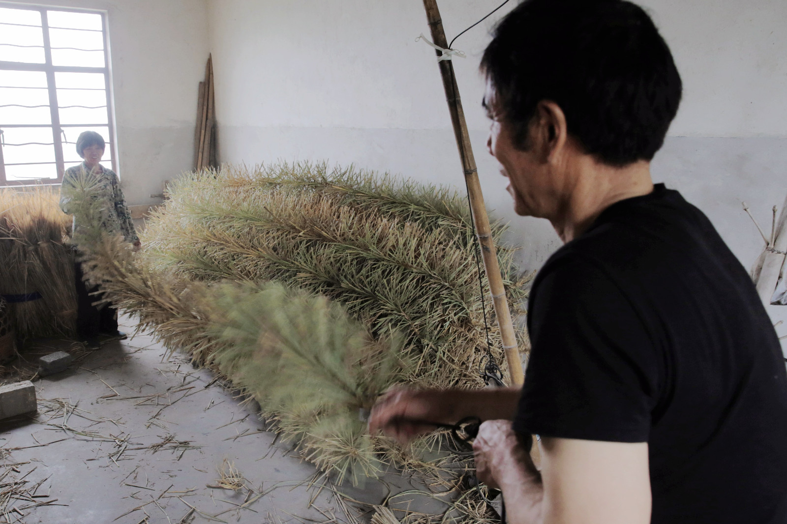 蚕宝宝要上山忙坏了打草龙的华老蚕