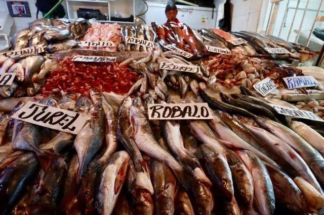 我真的不敢相信!|智利|凯亚|火山_新浪新闻