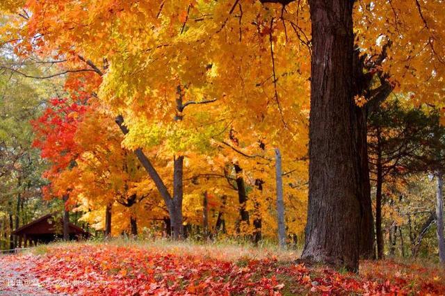 这个暑期,去看比瑞士的山色和冰岛对的极光更