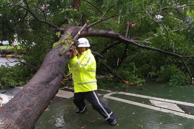 台风来势汹汹,他们迎风坚守!常州街头的一道道身影很暖!