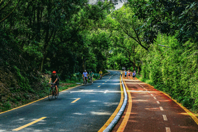 "深港第一环湖绿道"将诞生!在罗湖"沉浸式"体验森林之美