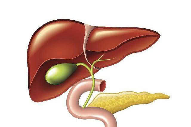 有脂肪肝的人,这几种食物经常吃一点,疏肝理气,肝硬化不敢来!