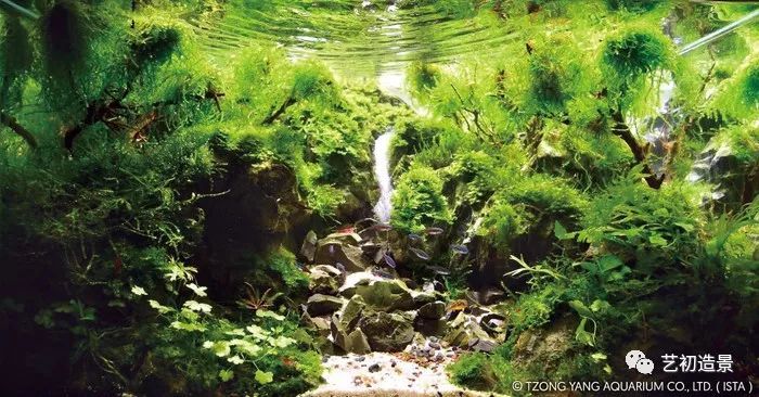 第一届伊士达水草造景大赛前150名作品欣赏