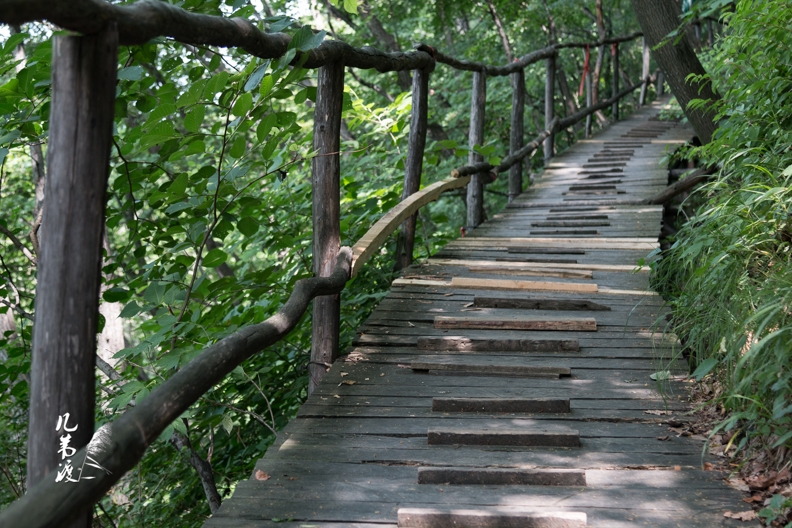 山间木栈道,在透过树木缝隙的太阳下,浮动着斑驳的光影.行走其上