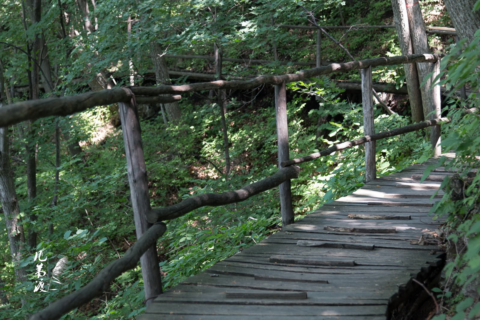 山间木栈道,在透过树木缝隙的太阳下,浮动着斑驳的光影.行走其上