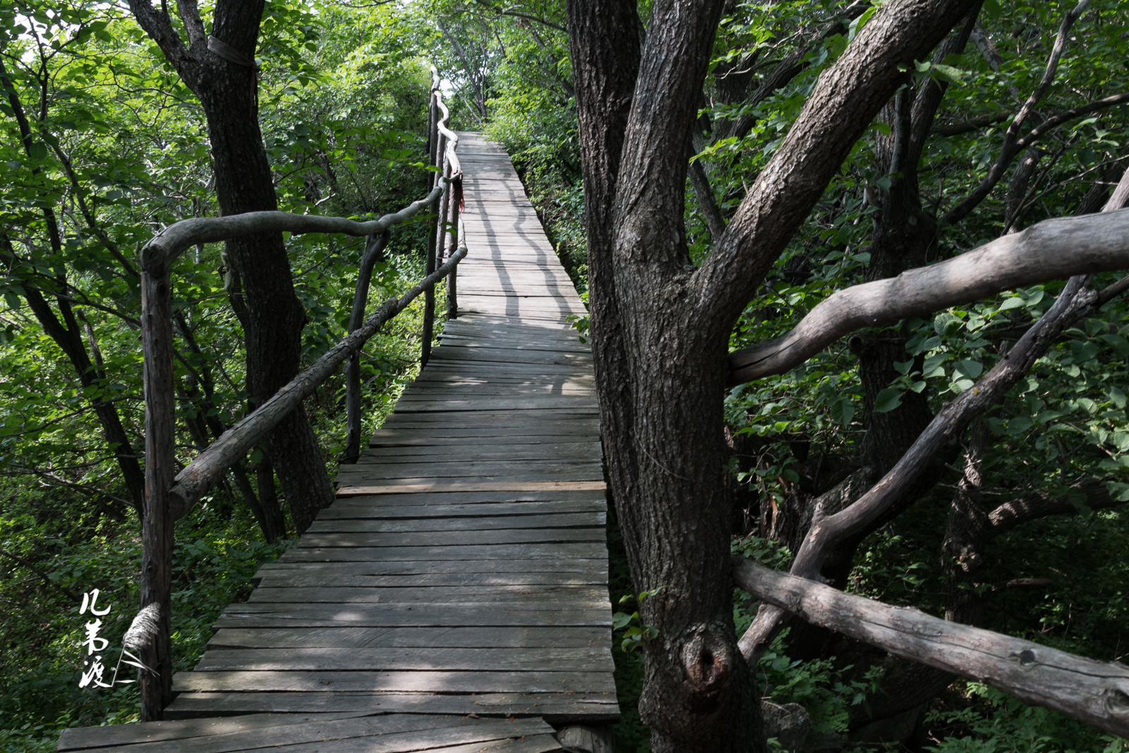 山间木栈道,在透过树木缝隙的太阳下,浮动着斑驳的光影.行走其上