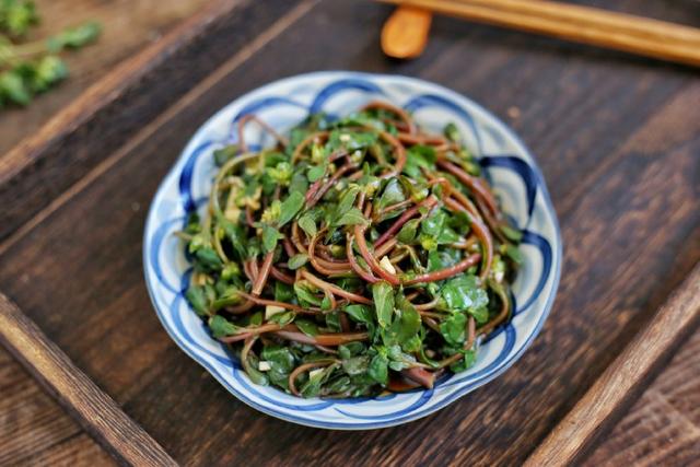 试试这6道,清爽,解暑,开胃,比肉还受欢迎|凉拌|春菜|马齿苋_新浪新闻