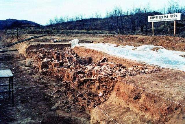 (特别声明:以上文章内容仅代表作者本人观点,不代表新浪看点观点或