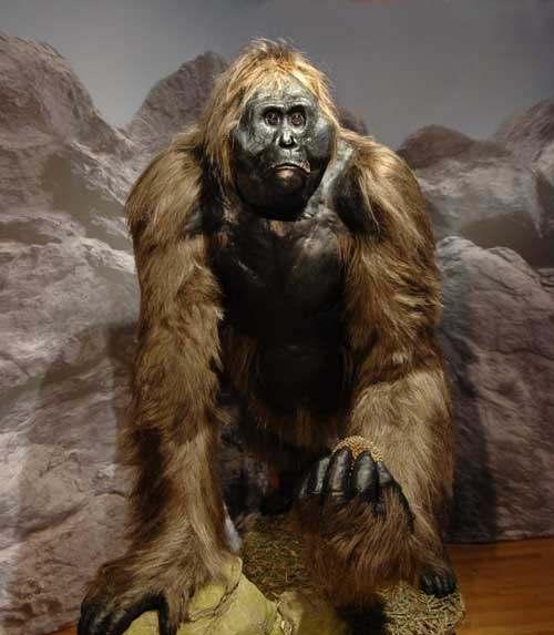 它可以秒杀狮子, 要不是只吃竹子, 早就没有人类的存在了!