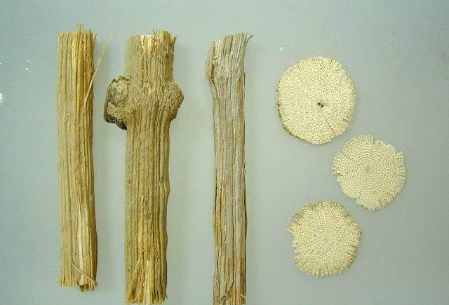 发现滋补中药材川木通清心除烦通经下乳建议收藏