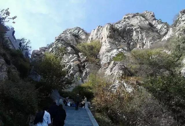 有山有水有树林,河南7个景区保证你过一个清凉的夏天|水帘仙宫瀑布|老君山|大淙潭瀑布_新浪新闻