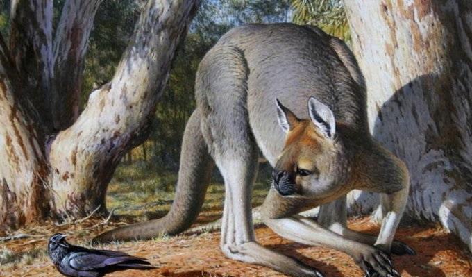 远古动物祖先, 有的已经灭绝了, 有的近亲还存在!|鸭嘴兽_新浪新闻