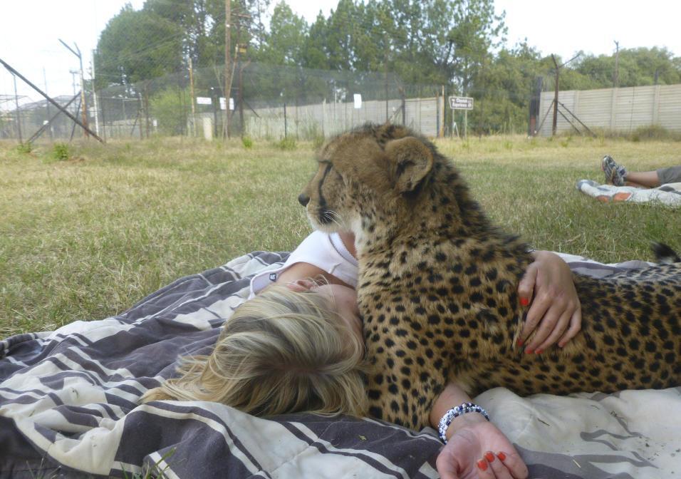 23岁美国女子的男友是一只凶猛的肉食动物一人一兽真能同床共枕