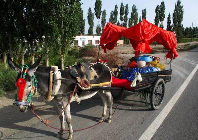 清宫之中有一种驴车,上面插着小黄旗,王公大臣见到它必须回避