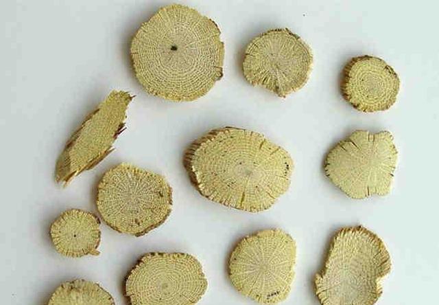 川木通,中药名.为毛茛科植物小木通clematis armandii franch.