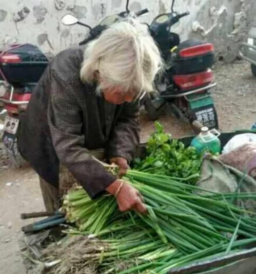 百岁老人推手推车市场卖菜,却被人嫌脏,心酸背影看哭网友