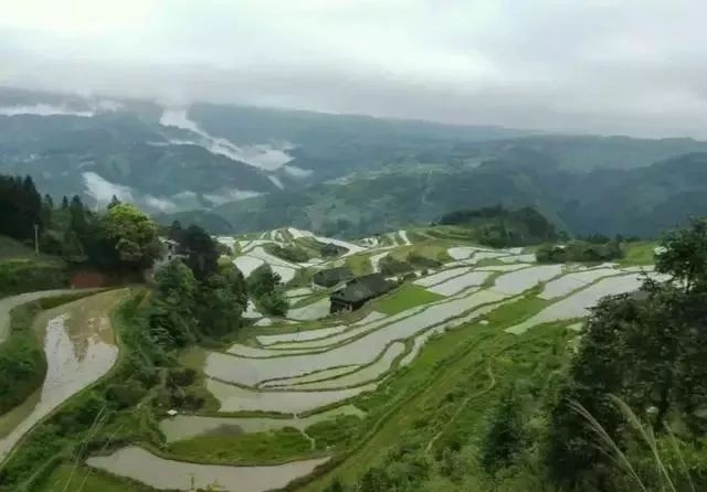 贵州天柱县八卦河下游莲花山水库北岸的神奇柳寨 贵州天柱县八卦河下游莲花山水库北岸的神奇柳寨