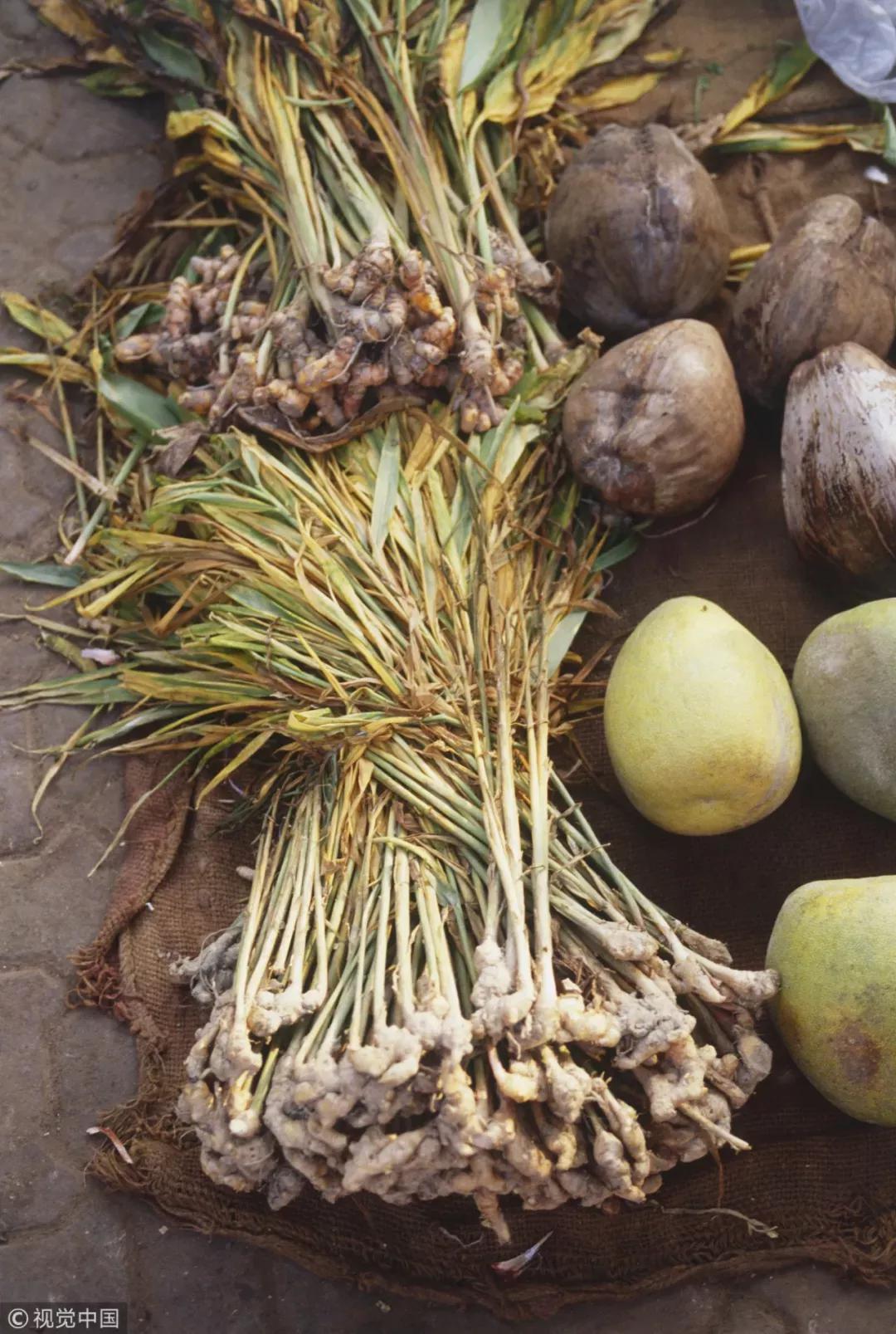 专家介绍,生姜腐烂后会产生有害物质"黄樟素",会诱发食道癌,肝癌等.